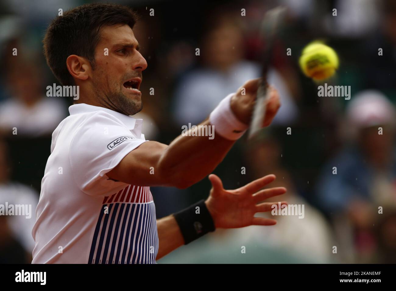 Novak Djokovic aus Serbien trifft sich am sechsten Tag der French Open 2017 bei Roland Garros am 2. Juni 2017 in Paris, Frankreich, im dritten Lauf der Männer gegen den Argentinier Diego Schwartzman. (Foto von Mehdi Taamallah/NurPhoto) *** Bitte benutzen Sie die Gutschrift aus dem Kreditfeld *** Stockfoto