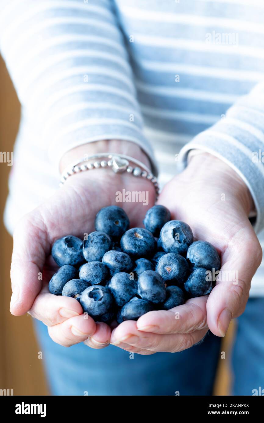 Eine Frau, die eine empfohlene tägliche Portionsgröße von Blaubeeren hält. Die Portionsgröße beträgt 150g oder eine Tasse. Die gesunden Antioxidantien sind reich an Vitaminen Stockfoto