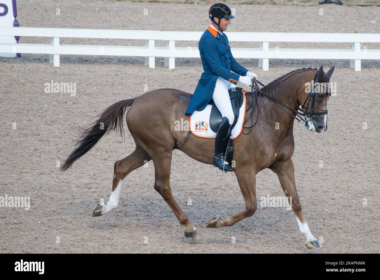 Der Niederländer Patrick van der Meer auf Zippo reitet am 22. August 2017 im Team-Dressurwettbewerb der FEI Europameisterschaften 2017 im Ullevi-Stadion in Göteborg, Schweden. (Foto von Julia Reinhart/NurPhoto) Stockfoto