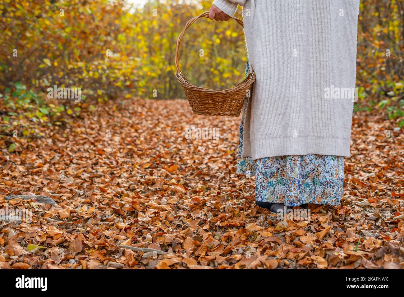 Eine Frau in einem Kleid mit Pflanzen- und Blumenmuster erntet im Herbst auf einem Pfad, der mit Blättern bedeckt ist, mit einem Korb aus Korb mit Griff Stockfoto