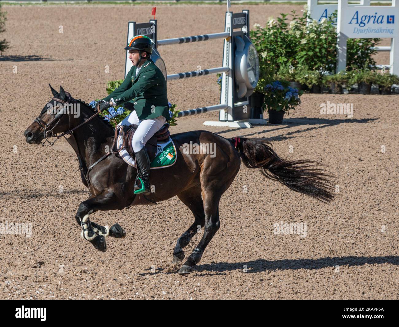 Der Ire Bertram Allen auf Hector van d'Abdijhoeve fährt am 23. August 2017 im Qualifying-Wettbewerb der FEI-Europameisterschaften 2017 im Ullevi-Stadion in Göteborg, Schweden (Foto: Julia Reinhart/NurPhoto) Stockfoto