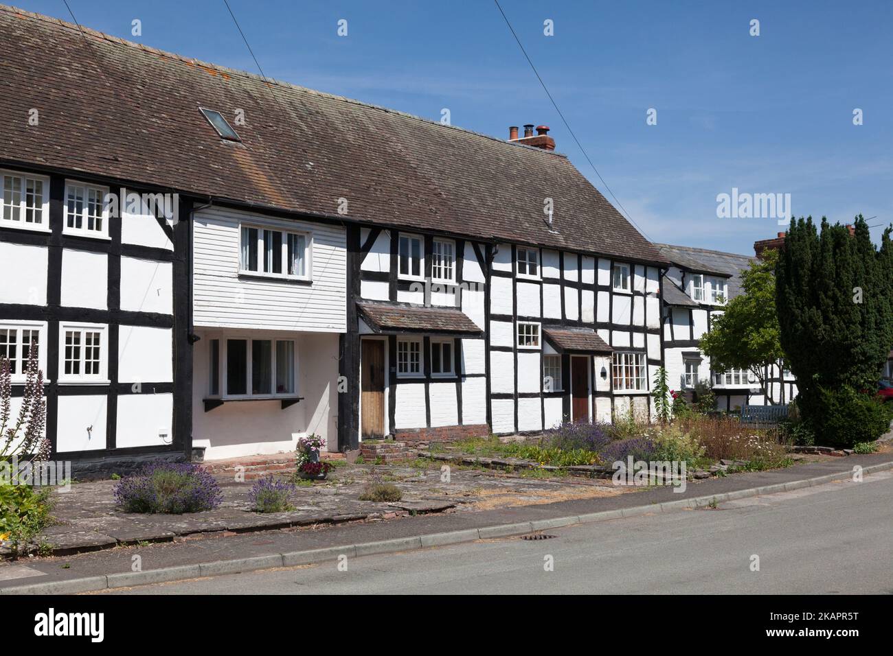 Historische Fachwerkhäuser, Dilwyn, Herefordshire Stockfoto