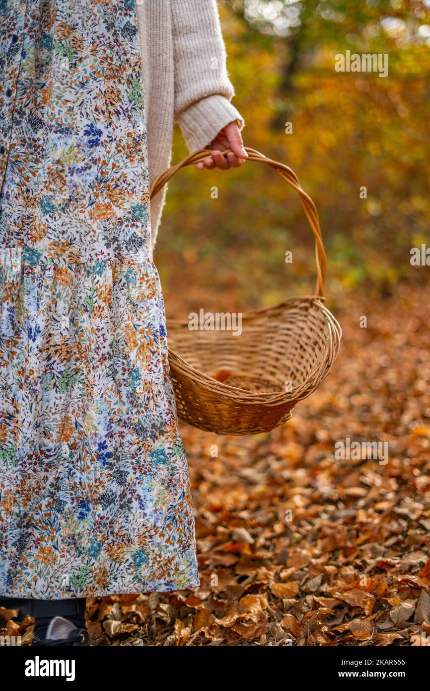 Eine Frau in einem Kleid mit Pflanzen- und Blumenmuster erntet im Herbst auf einem Pfad, der mit Blättern bedeckt ist, mit einem Korb aus Korb mit Griff Stockfoto