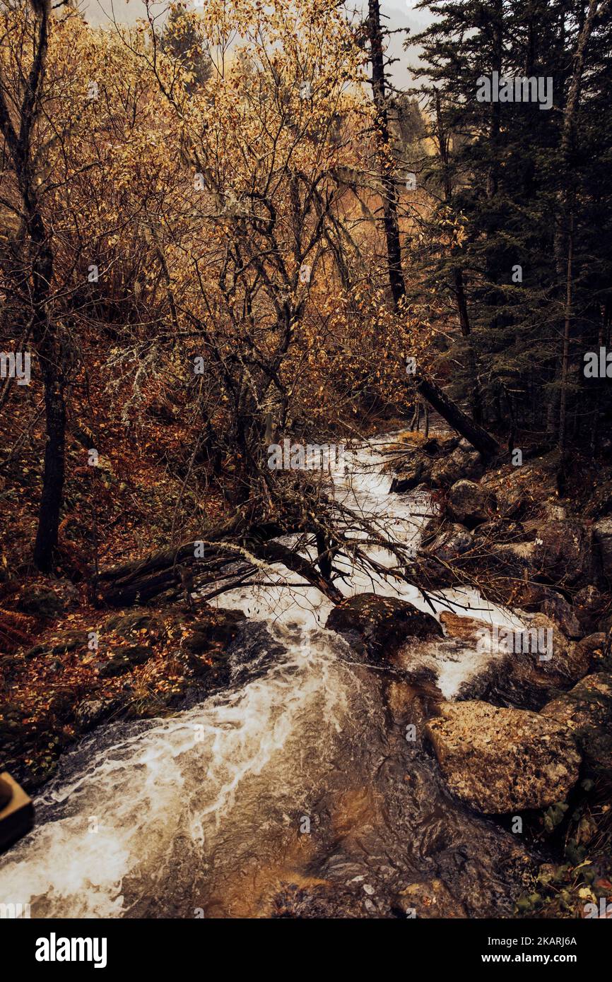 Fluss, der im Herbst einen Bergwald überquert Stockfoto