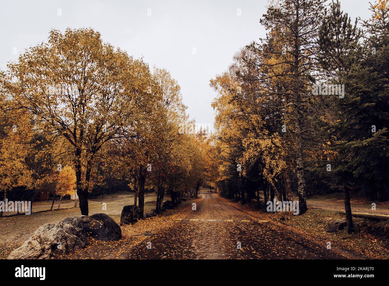 Bergweg umgeben von Bäumen mit warmen Tönen im Herbst Stockfoto