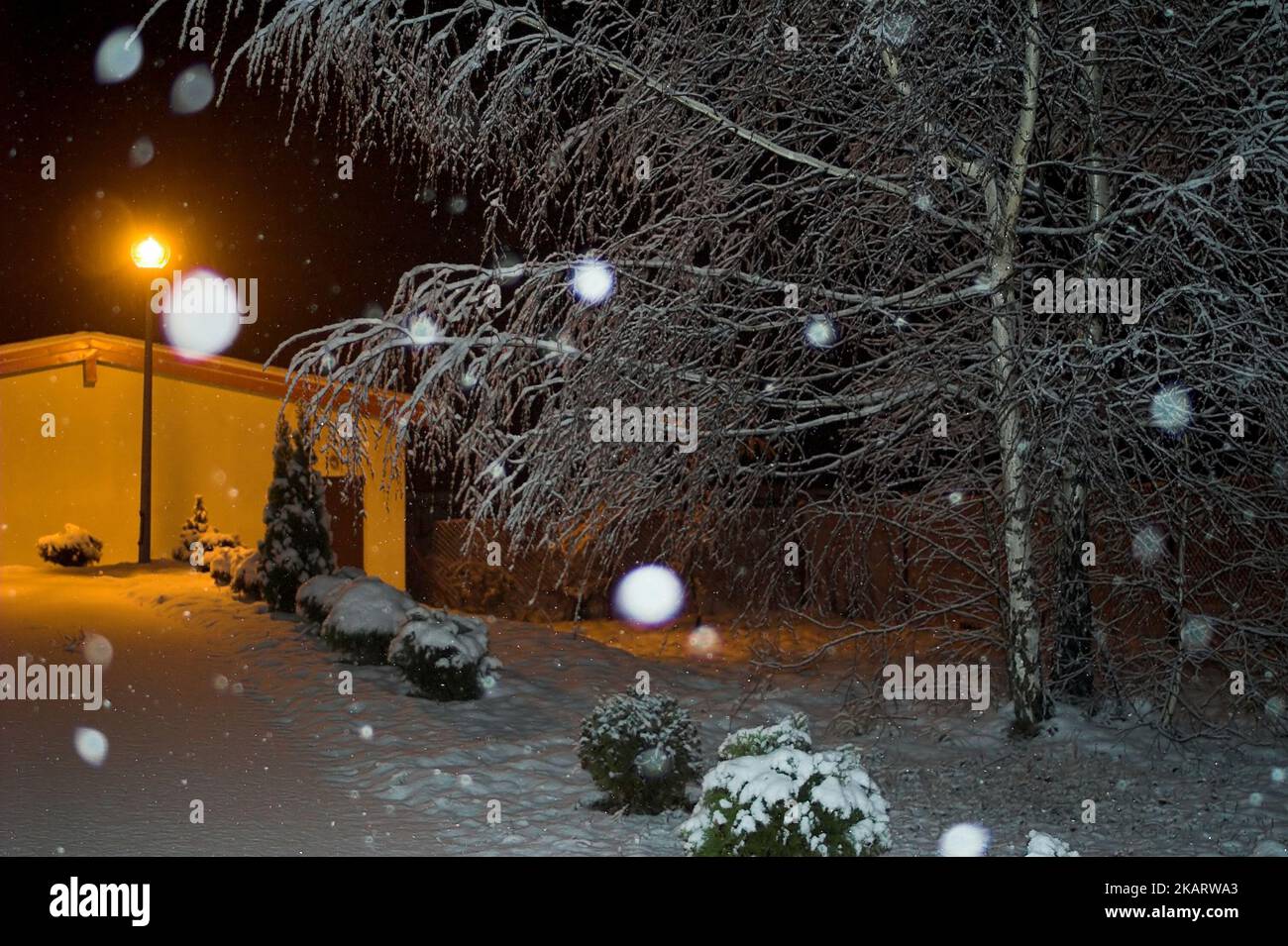 Ostrzeszów, Polska, Polen, Polen; Szene Winterlandschaft, Verschneite Winterlandschaft bei Nacht, beleuchtet durch eine Straßenlaterne Stockfoto