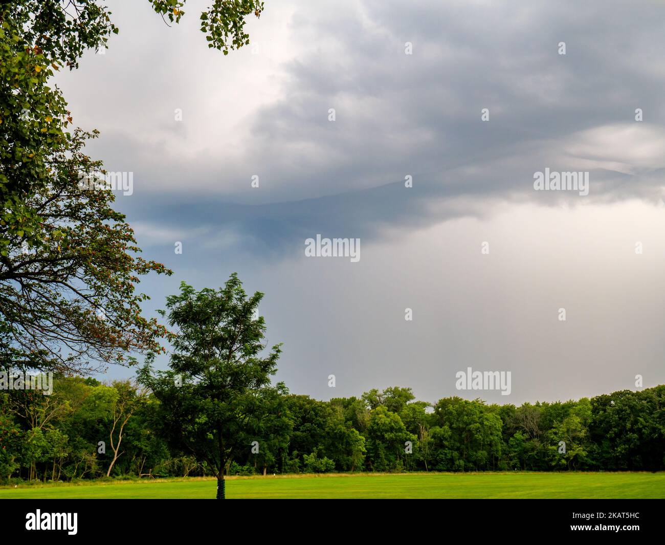 Asperitas Wolken. Thatcher Woods Forest Preserve, Illinois. Stockfoto