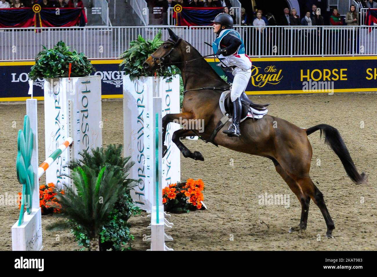 Rider tritt während der Royal Horse Show auf der gesamten Royal Agricultural Winter Fair vom 3. Bis 12. November 2017 im Ricoh Coliseum in Toronto, Kanada, an. (Foto von Anatoliy Tscherkasov/NurPhoto) Stockfoto