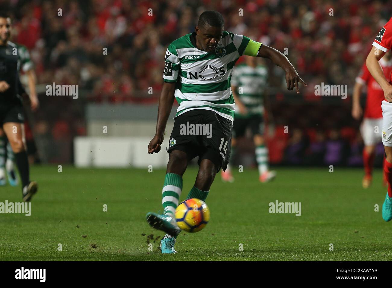 Sportings Mittelfeldspieler William Carvalho aus Portugal während des Spiels der Premier League 2017/18 zwischen SL Benfica und Sporting CP am 3. Januar 2018 im Luz Stadium in Lissabon. (Foto von Bruno Barros / DPI / NurPhoto) Stockfoto