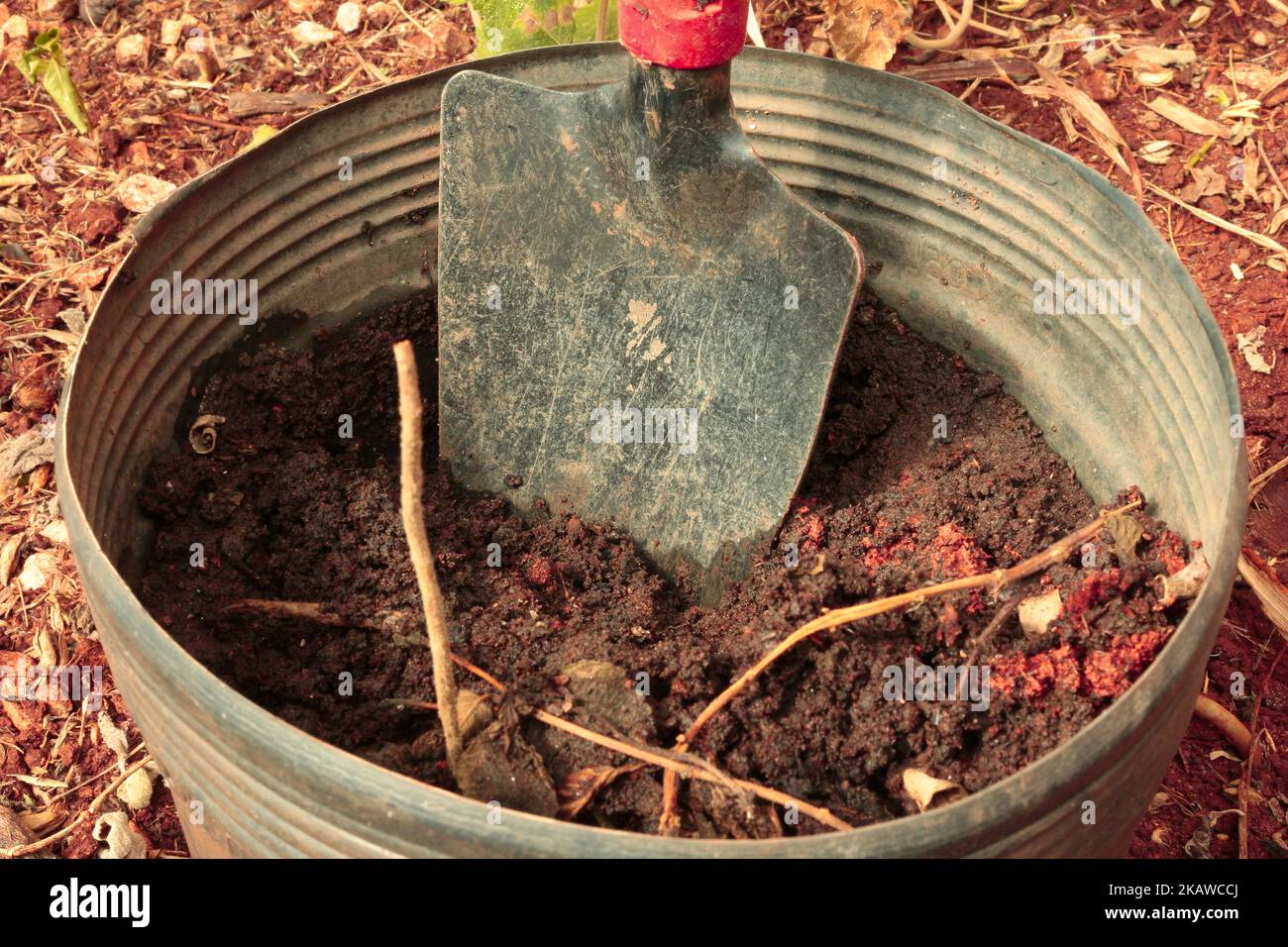 Pflanzen / Blumentöpfe auf dem Boden im Garten. Gartenarbeit. Stockfoto
