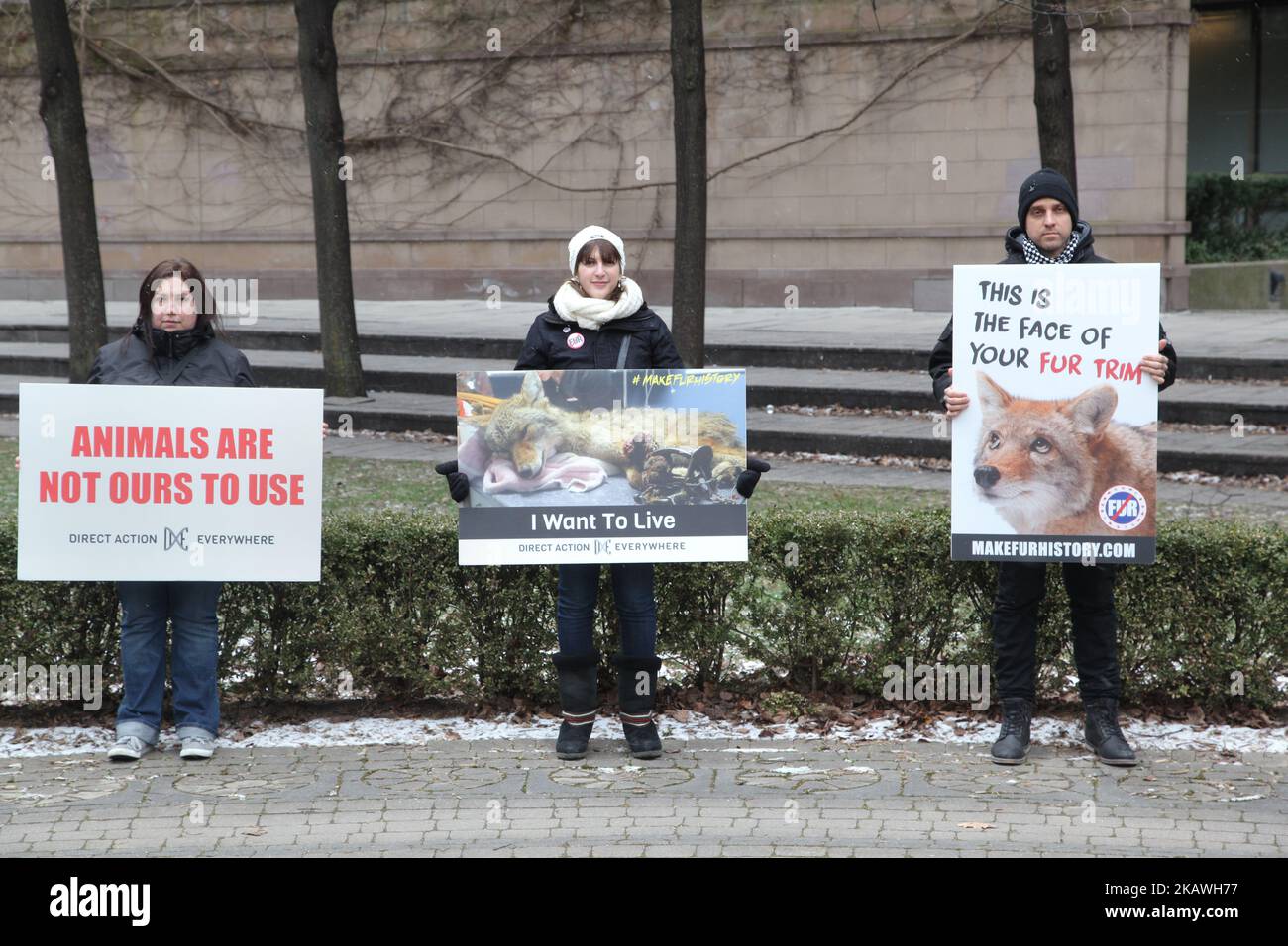 Mitglieder von People for the Ethical Treatment of Animals (PETA) und andere Tierrechtsaktivisten marschierten am 29. Januar 2017 durch die Innenstadt von Toronto, Ontario, Kanada, um gegen den Pelzhandel und die Verwendung von Fell in Mode zu protestieren. Demonstranten hielten vor dem Canada Goose Store sowie mehrere Furrier an und nahmen den Protest schließlich im Toronto Eaton Centre auf, bevor sie von Polizei und Sicherheit eskortiert wurden. (Foto von Creative Touch Imaging Ltd./NurPhoto) Stockfoto