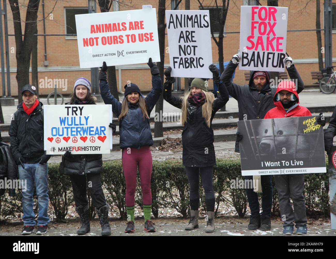 Mitglieder von People for the Ethical Treatment of Animals (PETA) und andere Tierrechtsaktivisten marschierten am 29. Januar 2017 durch die Innenstadt von Toronto, Ontario, Kanada, um gegen den Pelzhandel und die Verwendung von Fell in Mode zu protestieren. Demonstranten hielten vor dem Canada Goose Store sowie mehrere Furrier an und nahmen den Protest schließlich im Toronto Eaton Centre auf, bevor sie von Polizei und Sicherheit eskortiert wurden. (Foto von Creative Touch Imaging Ltd./NurPhoto) Stockfoto