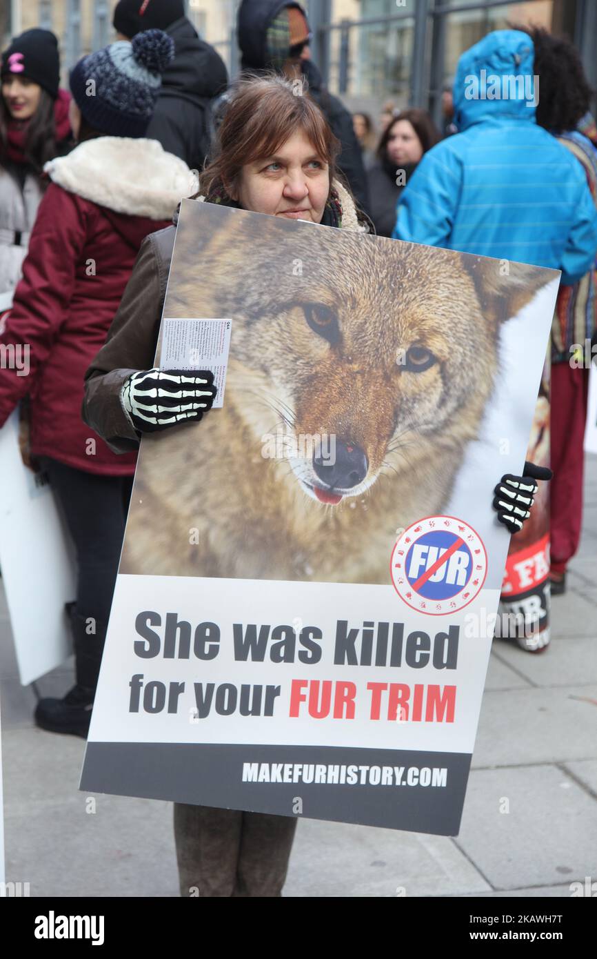 Mitglieder von People for the Ethical Treatment of Animals (PETA) und andere Tierrechtsaktivisten marschierten am 29. Januar 2017 durch die Innenstadt von Toronto, Ontario, Kanada, um gegen den Pelzhandel und die Verwendung von Fell in Mode zu protestieren. Demonstranten hielten vor dem Canada Goose Store sowie mehrere Furrier an und nahmen den Protest schließlich im Toronto Eaton Centre auf, bevor sie von Polizei und Sicherheit eskortiert wurden. (Foto von Creative Touch Imaging Ltd./NurPhoto) Stockfoto