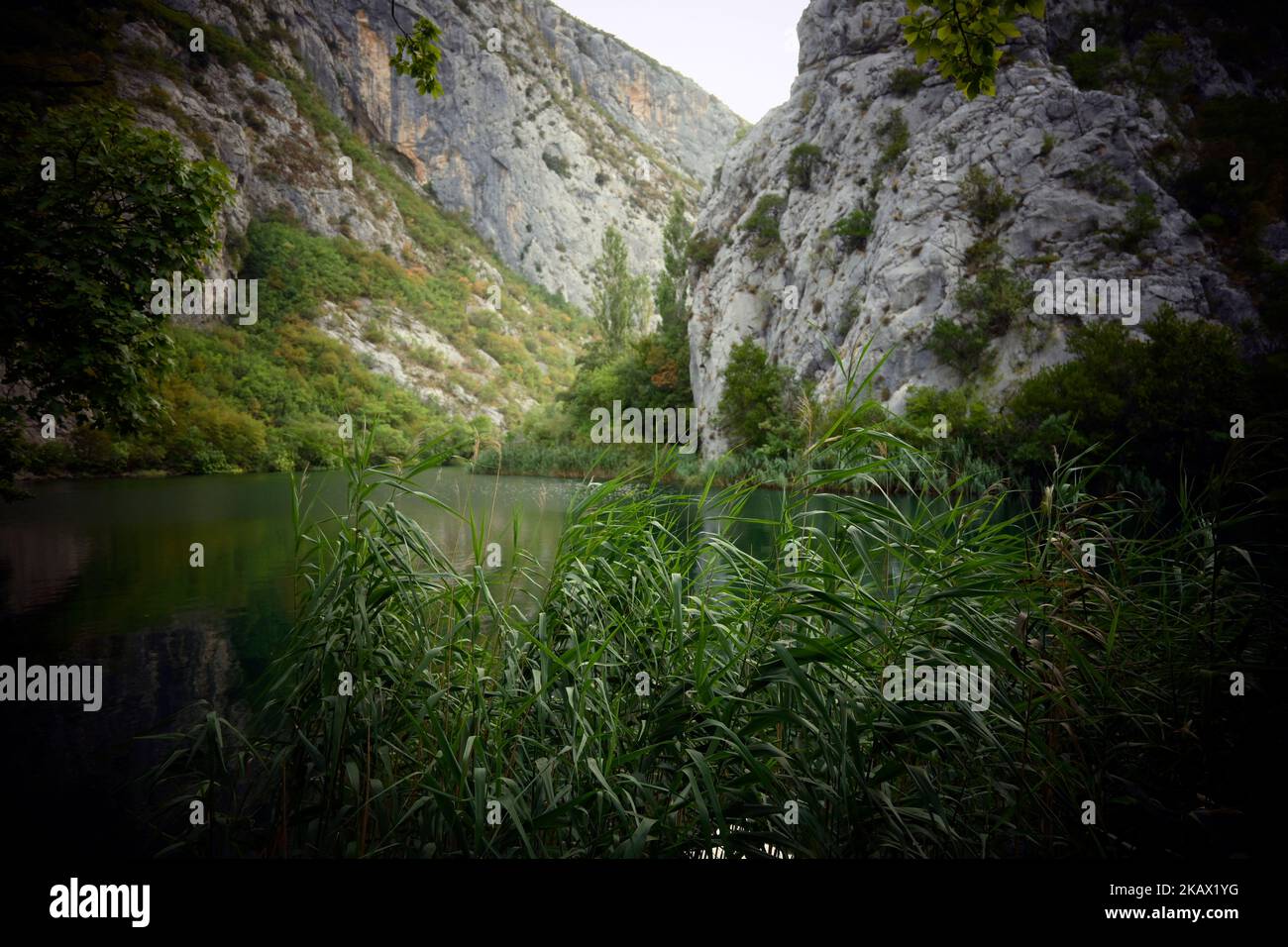 Schöne felsige Klippen und Berggipfel, bedeckt mit dichten Wald in der Nähe der Stadt Omis, Kroatien in der Schlucht des Flusses Cetina Stockfoto