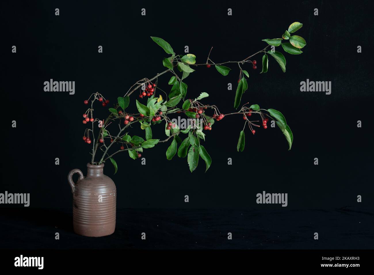 Zweige von roten Beeren in brauner Vase. Stockfoto