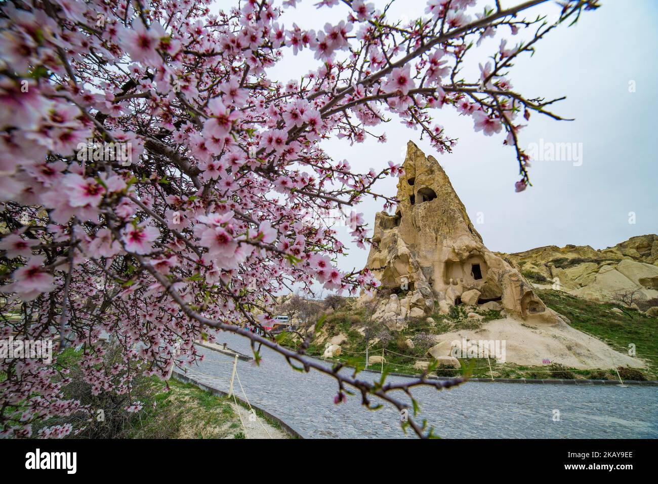 Göreme Freilichtmuseum in Kappadokien, in der Provinz Nevsehir in Zentralanatolien, Türkei. Es ist ein klösterlicher Komplex mit sehr gut erhaltenen geschnitzten Kirchen in den vulkanischen Felsen. Die Kirchen stammen aus dem 10.. Jahrhundert und sind heute UNESCO-Weltkulturerbe. Das breitere Gebiet wurde von den Griechen gebaut, um vor Kämpfen in der Vergangenheit geschützt zu werden. Bis 1923 lebten hier noch Griechen. Die Kirchen hier sind berühmt für die Fresken, aber berühmt sind auch die bekannten Feenkamine, die vulkanische Felsformationen in einer hohen konischen Form sind. (Foto von Nicolas Economou/NurPhoto) Stockfoto