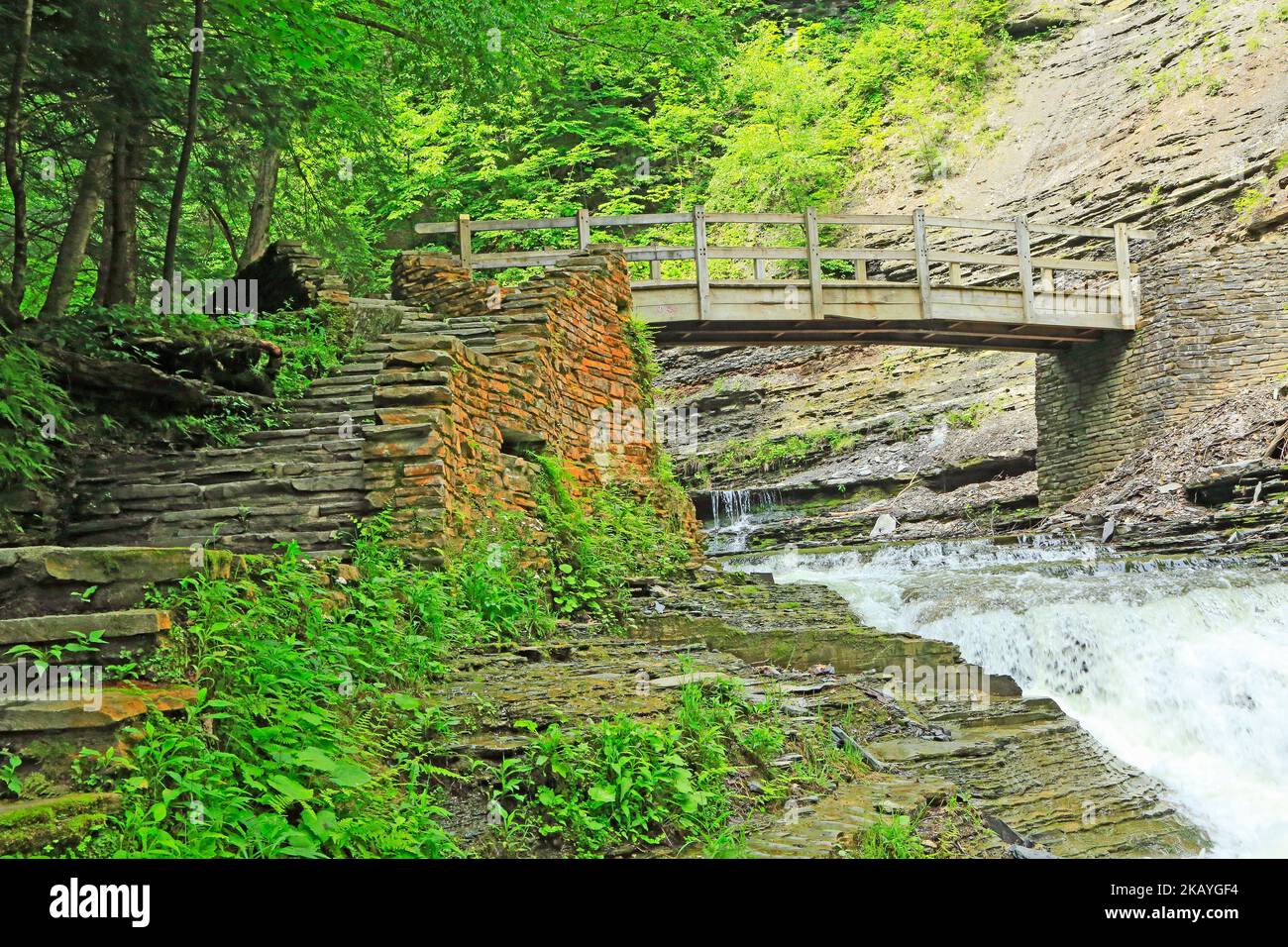 Trail in der Stony Brook Gorge - New York Stockfoto