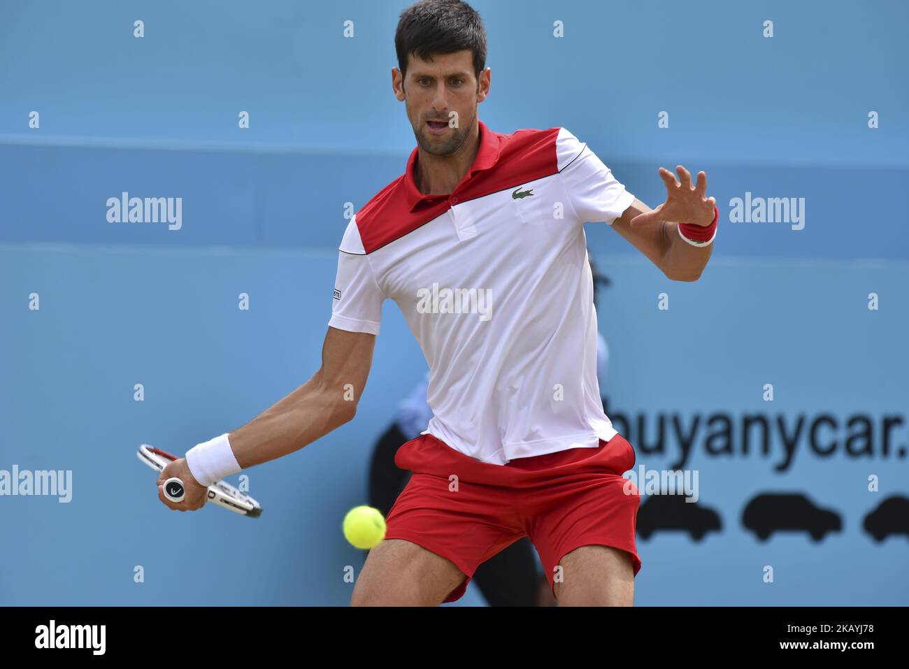 Novak Djokovic aus Serbien spielt beim Halbfinalspiel am 6. Tag der Fever Tree Championships im Queen's Club in London, Großbritannien, am 23. Juni 2018 mit der Vorhand gegen Jeremy Chardy aus Frankreich. (Foto von Alberto Pezzali/NurPhoto) Stockfoto