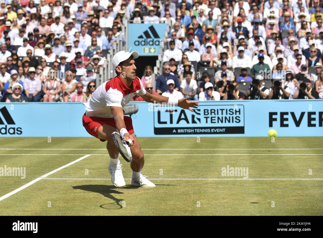 Novak Djokovic aus Serbien spielt am 7. Tag der Fever-Tree Championships im Queens Club am 24. Juni 2018 in London, Großbritannien, mit Vorhand. (Foto von Alberto Pezzali/NurPhoto) Stockfoto