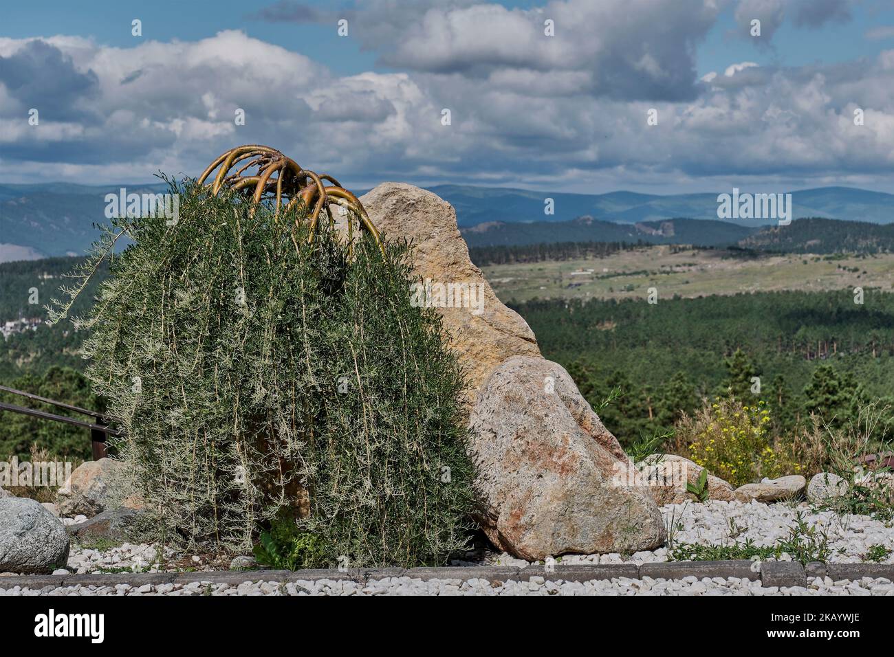 Landschaftszusammensetzung von großen Steinen und Weidenpflanzen auf dem Hintergrund der schönen Naturlandschaft Stockfoto
