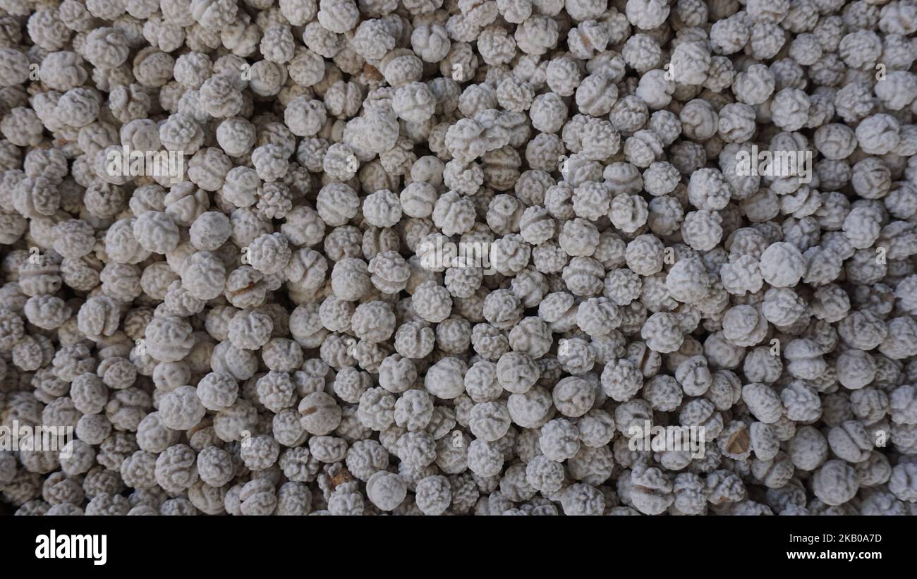 Weiß geröstete Kichererbsen mit Zucker überzogen Stockfoto