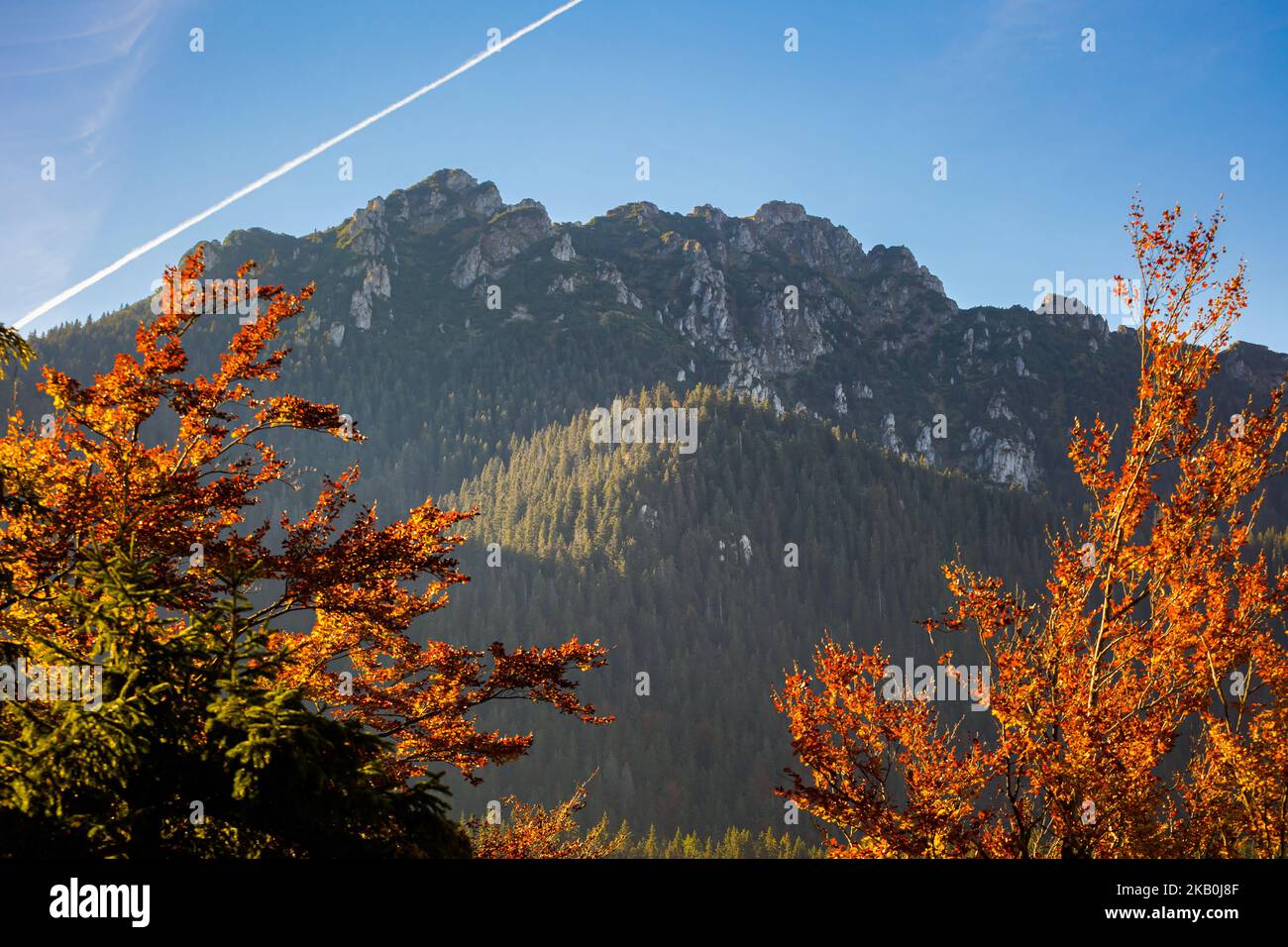 Schöner Weg nach Maly Rozsutec von Biely Potok - in der slowakischen Mala Fatra. Sonniges Herbstpanorama. Stockfoto