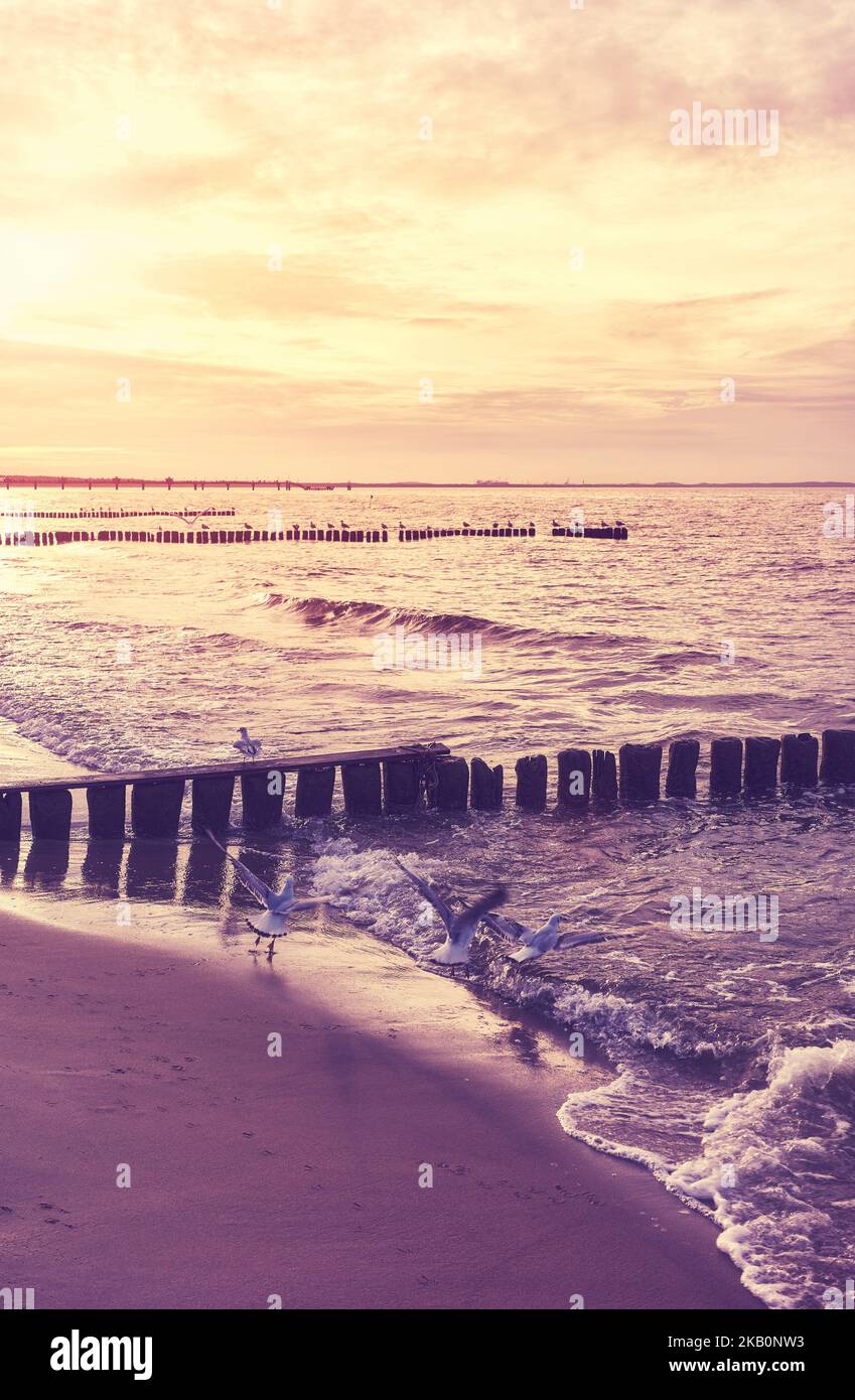 Hölzerner Wellenbrecher am Strand bei Sonnenuntergang, selektiver Fokus, Farbtonung angewendet. Stockfoto