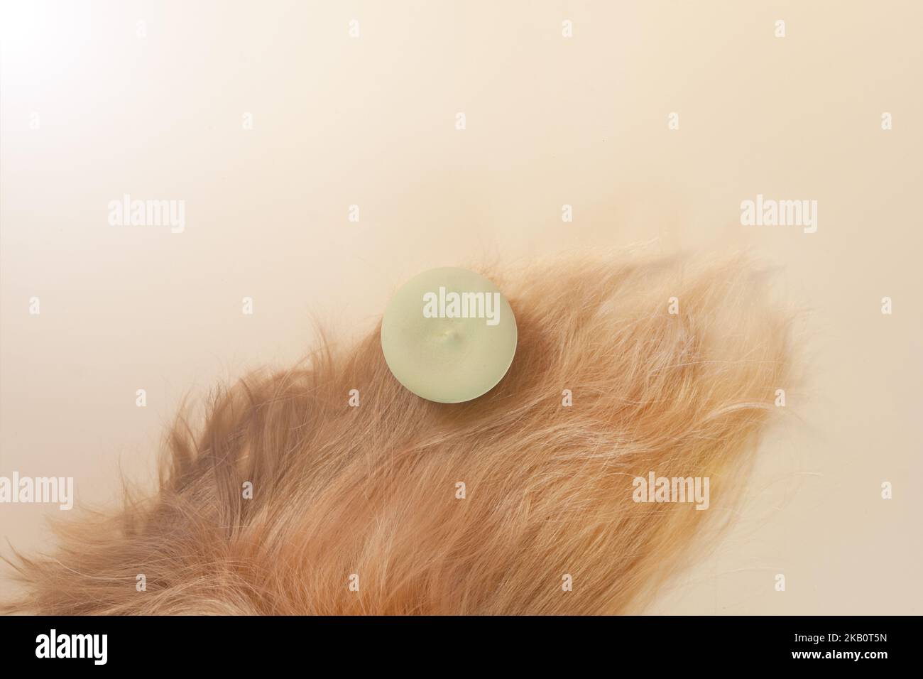 Solide Shampoo flach Lay onwoman blonde Haare- Spa Pflege Bio-Behandlung-Null Taille Stockfoto