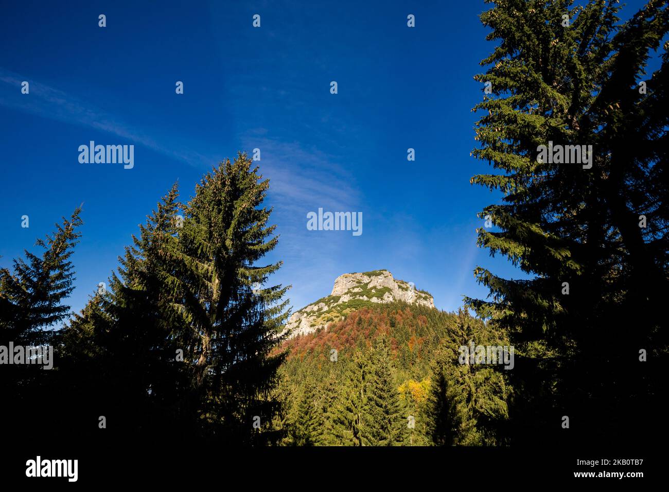 Schöner Weg nach Maly Rozsutec von Biely Potok - in der slowakischen Mala Fatra. Sonniges Herbstpanorama. Stockfoto