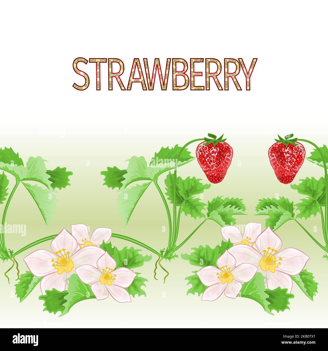 Border nahtlose Hintergrund von Erdbeeren mit Blumen und Blätter gesunde Ernährung Vektor Illustration für den Einsatz in Innenarchitektur, Kunstwerk, Geschirr, Stock Vektor