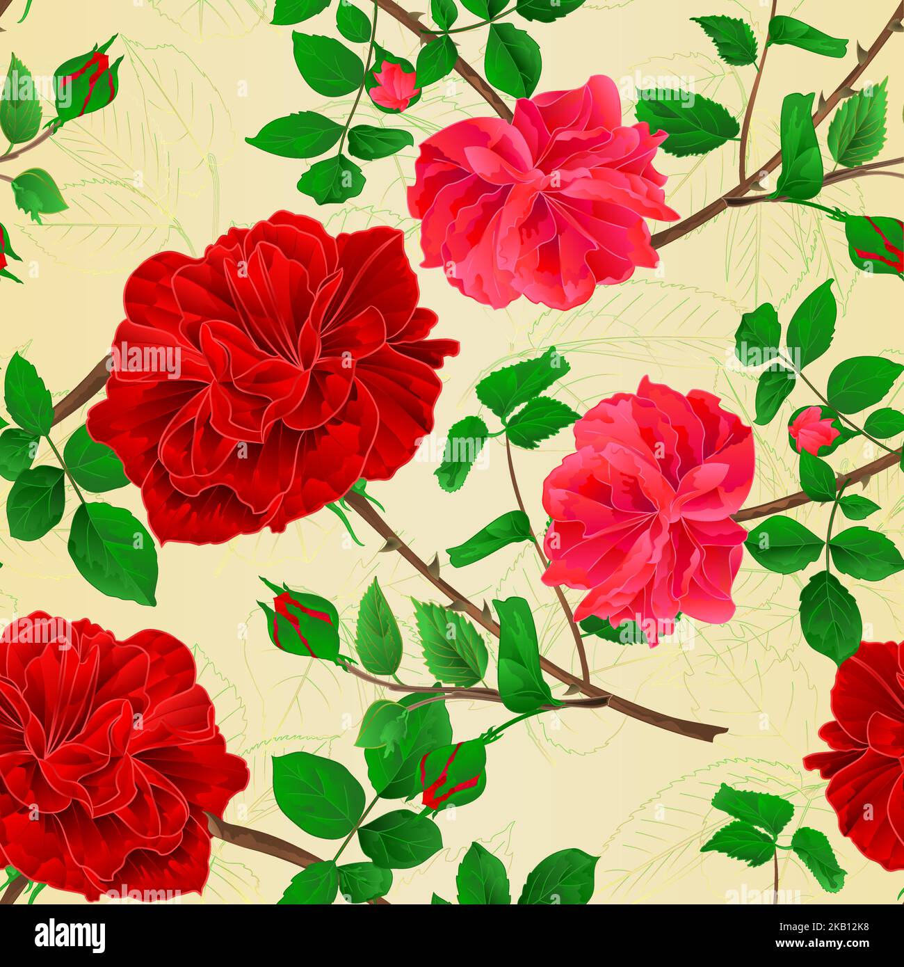 Nahtlose Textur Stiele Blume roten und rosa Rosen und Blätter vintage Vektor botanische Illustration editierbar Handzeichnen Stock Vektor