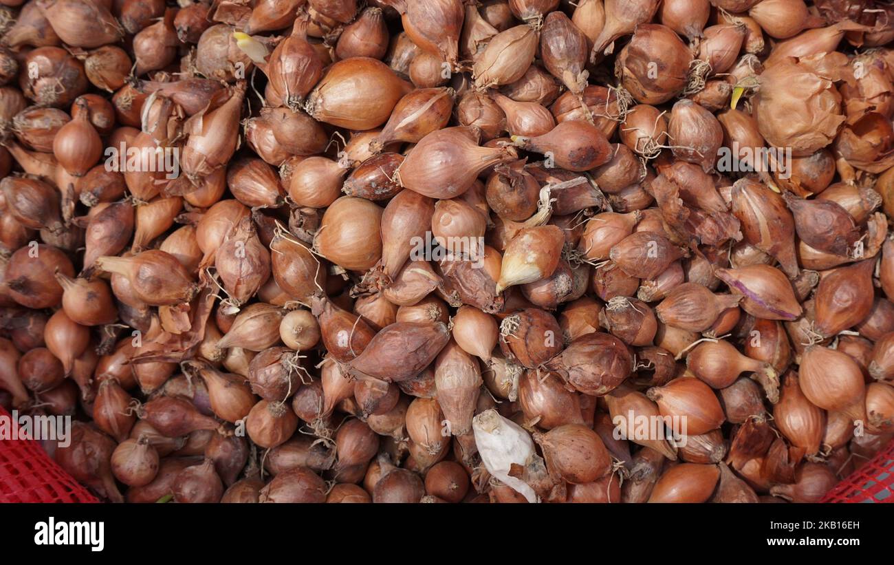 Kleine gehäutete Zwiebeln mit vielen Samen Stockfoto