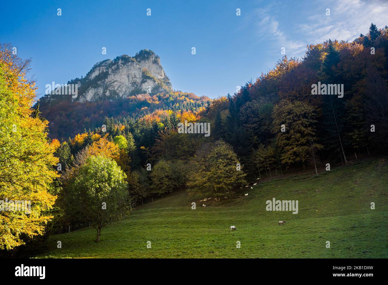 Schöner Weg nach Maly Rozsutec von Biely Potok durch Nove, Horne, Janosikove Diery, - in den slowakischen Mala Fatra Bergen. Sonniges Herbstpanorama. Stockfoto