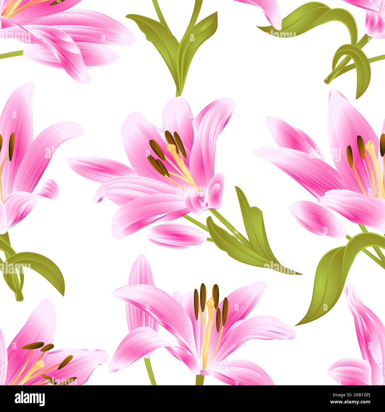 Nahtlose Textur Pink Lily Lilium Candidum, Blume mit Blättern und Knospe auf einem weißen Hintergrund vintage Vektor Illustration editierbar von Hand gezeichnet Stock Vektor