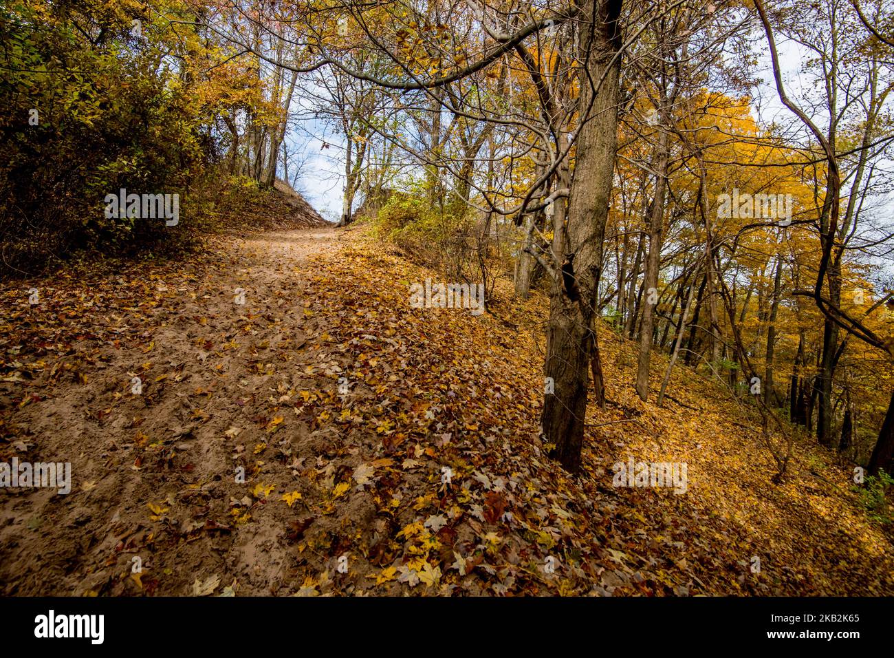 Blick auf den Indiana Sand Dunes State Park in Chesterton, IN, USA am 29. Oktober 2018. (Foto von Patrick Gorski/NurPhoto) Stockfoto