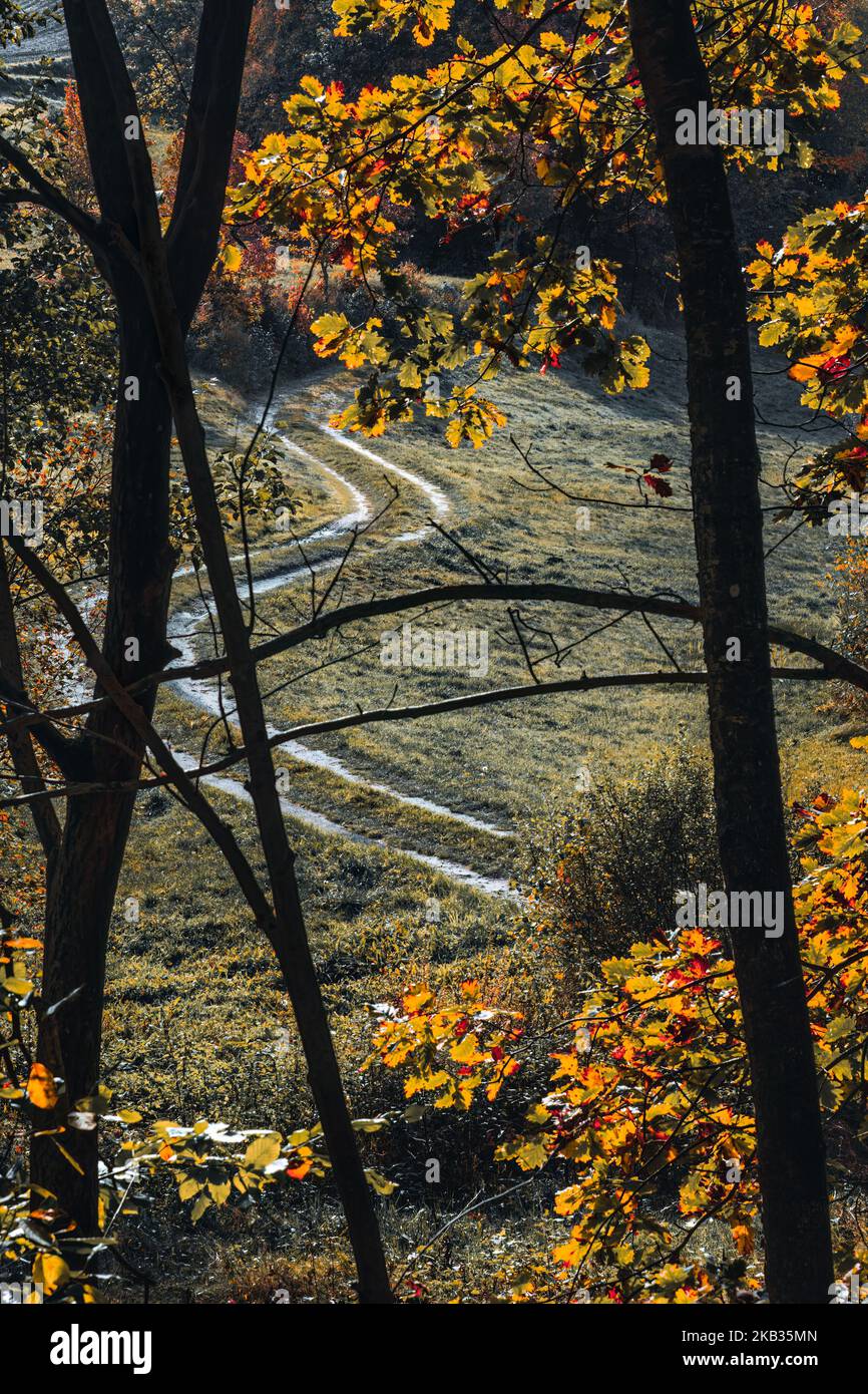 Feldweg an einem Herbstmorgen (Polen, Kaschubien) Stockfoto