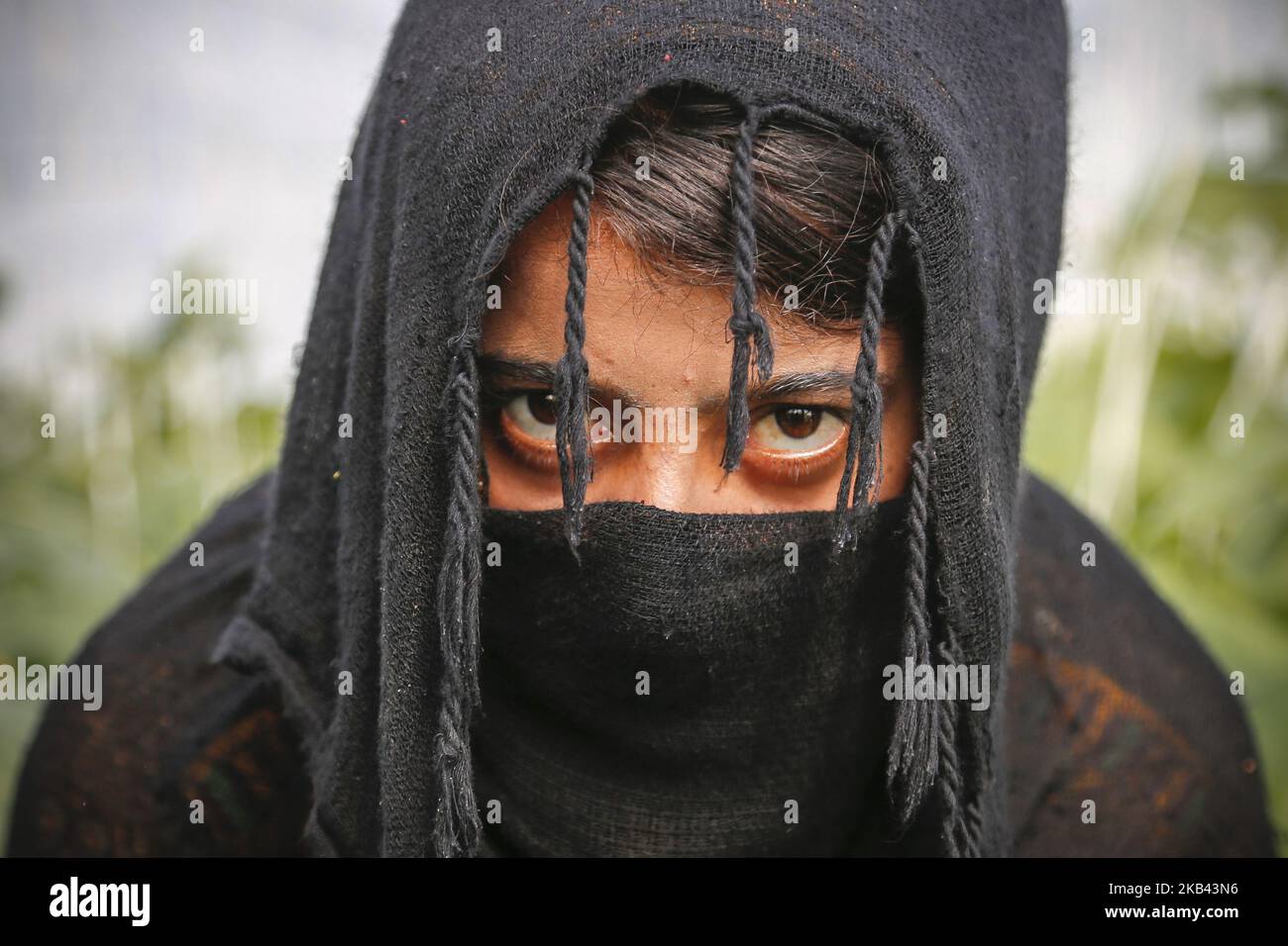 Eine Arbeiterin wird am 13. Dezember 2018 in einem Gurkengewächshaus im Kreis Qaleh Ganj, Provinz Kerman, Iran, gesehen. (Foto von Rouzbeh Fouladi/NurPhoto) Stockfoto