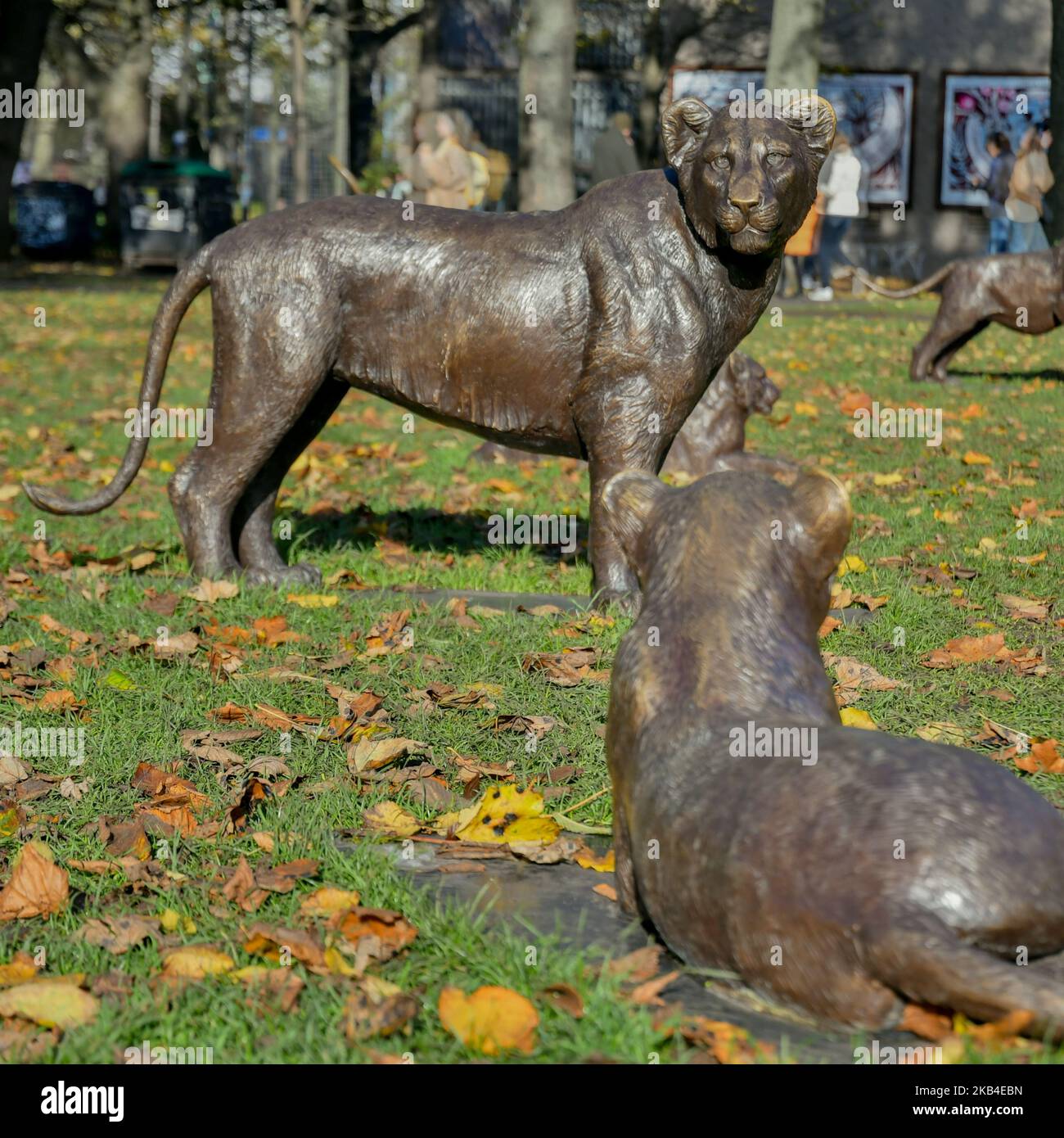 Born Free Forever ist eine Ausstellung mit 25 Bronzeskulpturen, die den Film feiern und das Bewusstsein für die Notlage der Löwenpopulation weltweit schärfen. Stockfoto