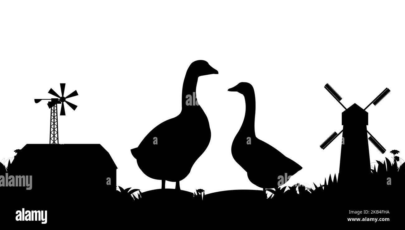Zwei Gänse, die in der Nähe von Bauernhäusern grasen. Silhouette der Landschaft. Ländliche Landschaft. Landwirtschaftlicher Vogel. Objekt auf weißem Hintergrund isoliert. Vektor. Stock Vektor