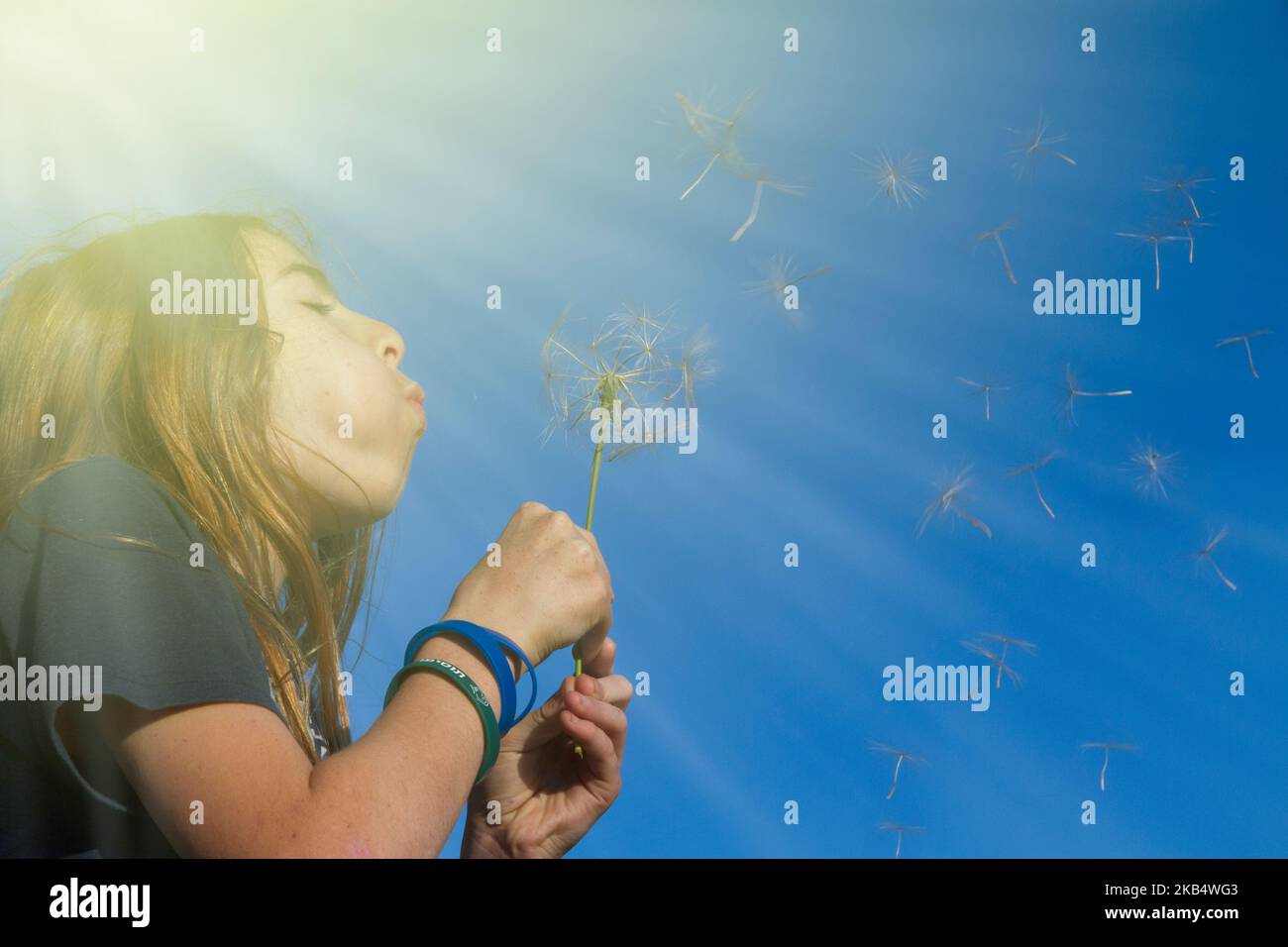 Kleiner Junge, der Wind bläst, bestäubte Blumen mit seinem Mund Stockfoto