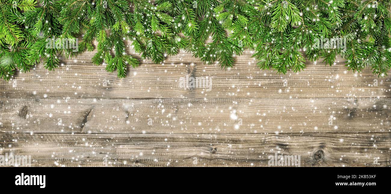 Hintergrund der Weihnachtskopfzeile. Kiefernbaum Zweige Holzstruktur Stockfoto