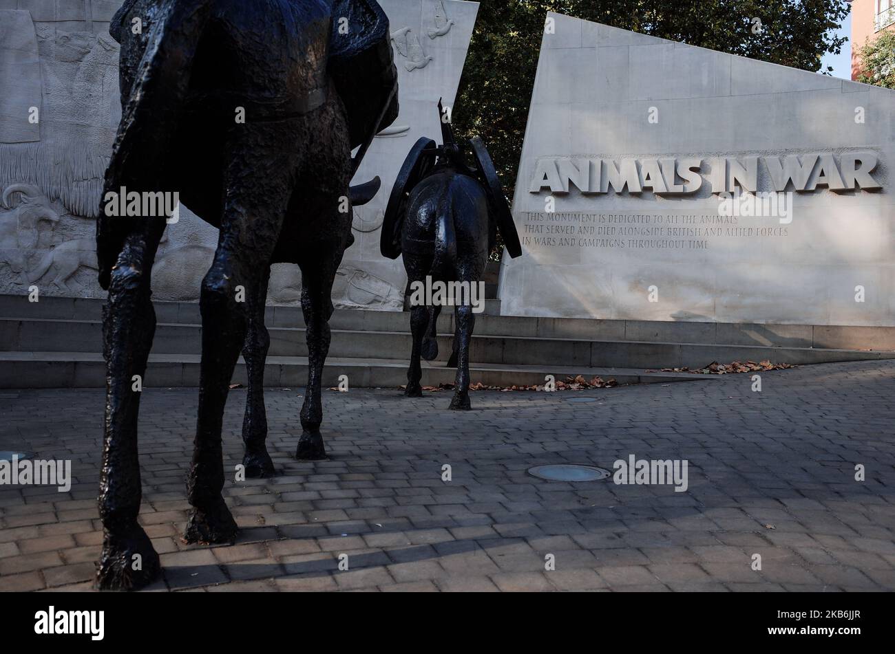 Das Tieres in war Memorial steht am 21. September 2019 auf der Park Lane in London, England. (Foto von David Cliff/NurPhoto) Stockfoto