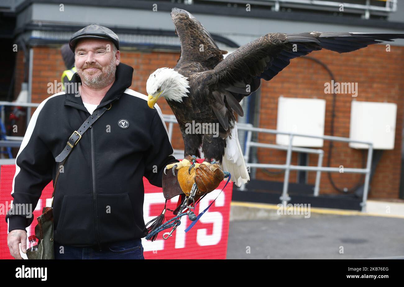 Kayla Eagle während der englischen Premier League zwischen Crystal Palace und Norwich City im Selhurst Park Stadium, London, England am 28. September 2019 (Foto by Action Foto Sport/NurPhoto) Stockfoto