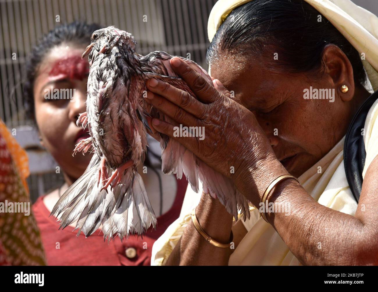 Eine Frau betet am 5. Oktober 2019 im Kamakhya-Tempel während der Durga puja in Guwahati, Assam, Indien, mit einer Opfertaube. Büffel, Ziegen, Enten und Tauben werden in Guwahati zum Fest „Durga Puja“ geopfert. Das Opfer lebender Tiere wird durchgeführt, um die Göttin Durga zu besänftigen und Segnungen auf die Gemeinschaft zu überreichen. (Foto von David Talukdar/NurPhoto) Stockfoto