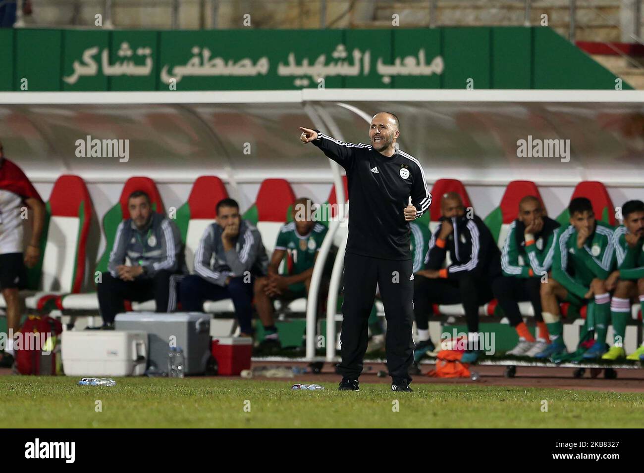 Djamel Belmadi, Trainer der algerischen Nationalmannschaft, beobachtet das Freundschaftsspiel zwischen Algerien und der Demokratischen Republik Kongo am 10. Oktober 2019 im Mustapha Tchaker Blida-Stadion in Algerien (Foto: Bilral Bensalem/NurPhoto) Stockfoto