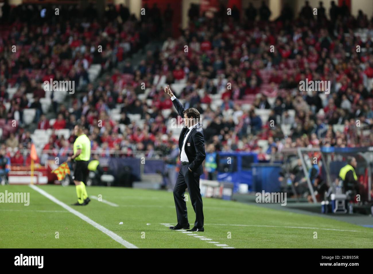 Rudi Garcia von Olympique Lyonnais während des UEFA Champions League-Spiel der Gruppe G zwischen SL Benfica und Olympique Lyon am 23. Oktober 2019 im Estadio da Luz in Lissabon, Portugal. (Foto von Paulo Nascimento/DPI/NurPhoto) Stockfoto