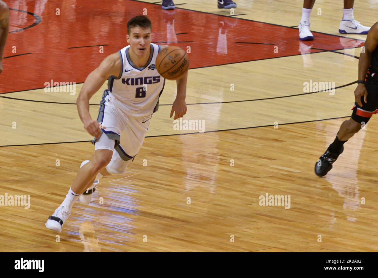 Bogdan Bogdanovic #8 der Sacramento Kings läuft für den Ball während des NBA-Spiels Toronto Raptors vs Sacramento Kings in der Scotiabank Arena am 6. November 2019 in Toronto, Kanada (Toronto Raptors gewann 124-120) (Foto: Anatoliy Cherkasov/NurPhoto) Stockfoto