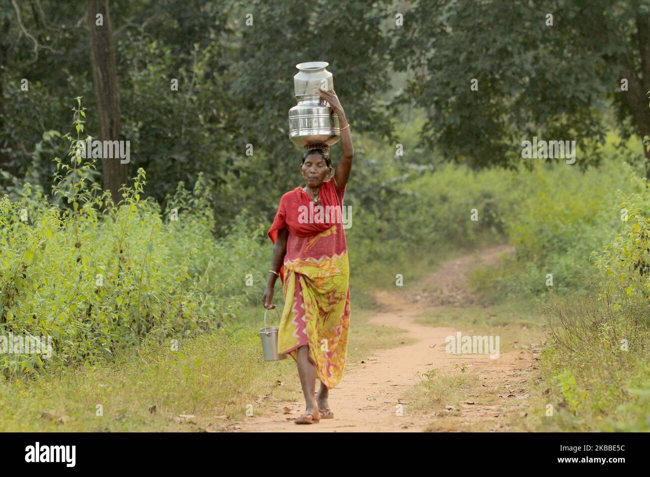 Die Stammesleute der Bergstation werden in der Nähe ihres Heimatlandes gesehen, da sie am 23. November 2019 im Bezirk Kandhamal, über 200 km von Odishas Hauptstadt Bhubaneswar entfernt, mit ihren landwirtschaftlichen Arbeiten und ihrem täglichen Leben beschäftigt sind. (Foto von STR/NurPhoto) Stockfoto