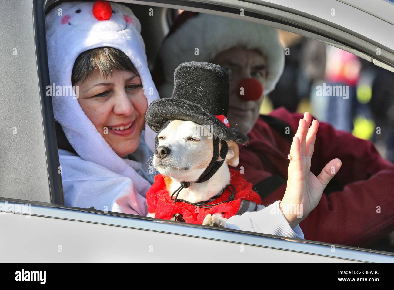 Frau und Hund verkleiden sich während der Santa Fest Parade (Santa Claus Parade) in Maple, Ontario, Kanada, am 24. November 2019. (Foto von Creative Touch Imaging Ltd./NurPhoto) Stockfoto