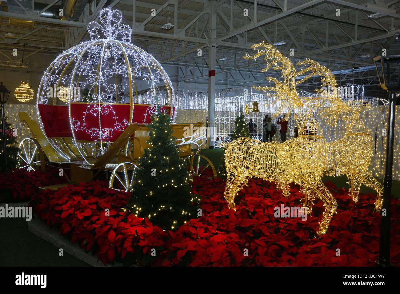Christmas Glow Festival in Toronto, Ontario, Kanada, am 30. November 2019. Christmas Glow ist Ontarios größtes Weihnachtsfest für Familien, bei dem bis zu 100.000 Besucher unter dem Funkeln von einer halben Million Lichtern lachen und spielen werden. (Foto von Creative Touch Imaging Ltd./NurPhoto) Stockfoto Christmas Glow Festival in Toronto, Ontario, Kanada, am 30. November 2019. Christmas Glow ist Ontarios größtes Weihnachtsfest für Familien, bei dem bis zu 100.000 Besucher unter dem Funkeln von einer halben Million Lichtern lachen und spielen werden. (Foto von Creative Touch Imaging Ltd./NurPhoto) Stockfoto